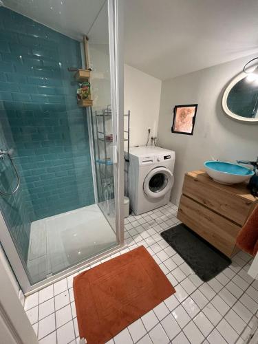 une salle de bain avec douche et machine à laver dans l'établissement Cabanon provençal, à Villecroze