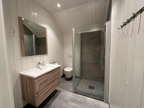 Lofoten Panorama في ستامسوند: حمام مع دش ومغسلة ومرحاض
