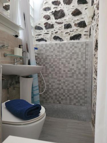 y baño con ducha, aseo y lavamanos. en Casa Noda Tarajalejo, en Tarajalejo