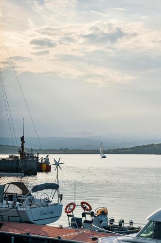 a group of boats are docked in the water at Seaview House Hotel in Bantry
