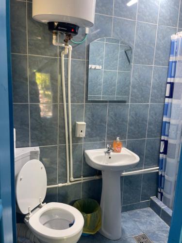 La salle de bains est pourvue de toilettes et d'un lavabo. dans l'établissement Popas Turistic Alex, à Murighiol
