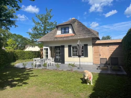 a dog standing in the grass in front of a house at Modern Vakantiehuis op Loopafstand van de Zee in Kamperland in Kamperland