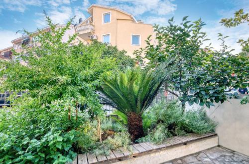 a garden with trees and plants in front of a building at Sun Guest House in Budva