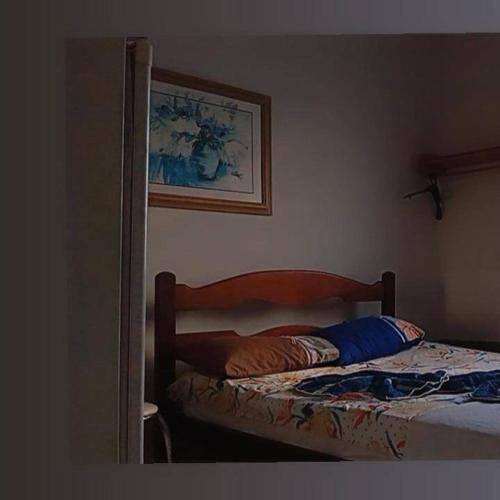 een slaapkamer met een bed en een foto aan de muur bij Hotel Pinheiros in Pinheiros