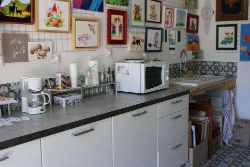 une cuisine avec un comptoir avec un micro-ondes dans l'établissement chambre d'hôte au calme absolu, à Lectoure