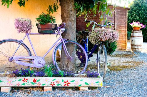 a purple bike parked next to a tree with flowers at Agriturismo Al Vermigliano in Alberese