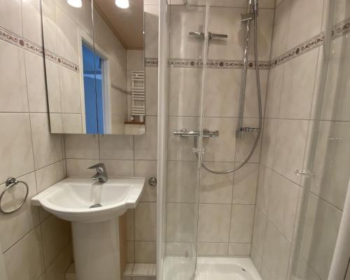 a bathroom with a sink and a shower at Appartement Seesicht in Malente