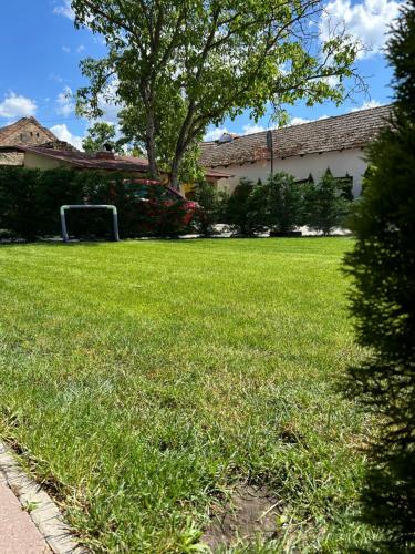 a field of green grass with a soccer goal at Platán Panzió in Csongrád