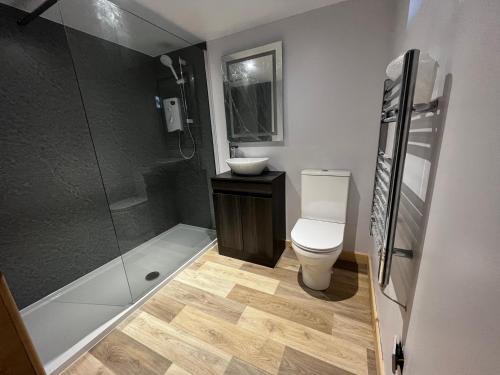 a bathroom with a toilet and a sink and a shower at Small home in Llanfairpwll in Llanfairpwllgwyngyll