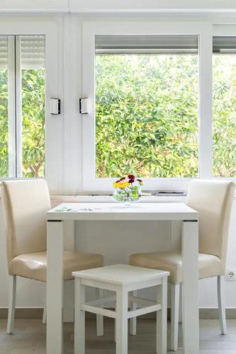 Studio Apartment Lemon