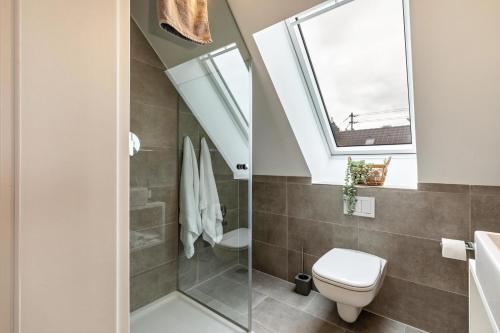 a bathroom with a toilet and a skylight at Waldstüble Schwabenglück in Günzburg