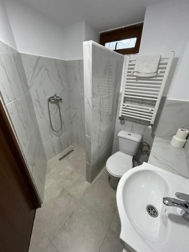 a bathroom with a shower and a toilet and a sink at Romana Boutique in Bucharest