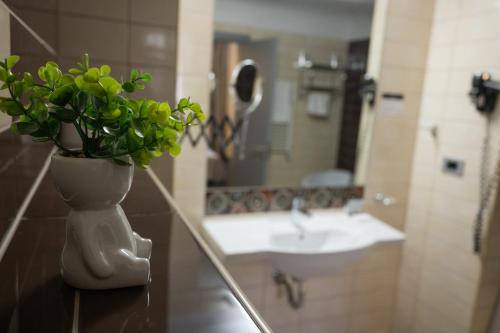 a bathroom with a vase with a plant on a counter at Black Tulip Hotel in Dej