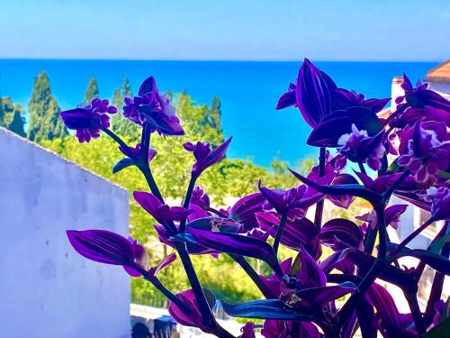 オルトーナにあるCasAzzurraの花瓶の紫花束