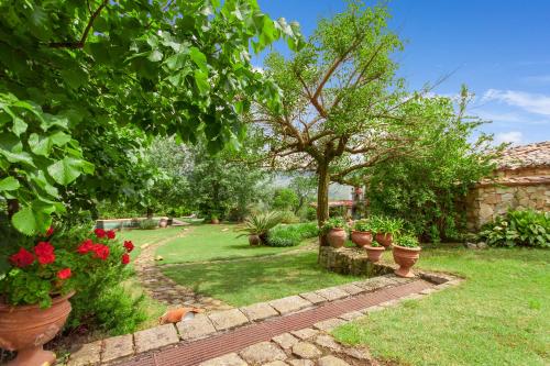 einen Garten mit Topfpflanzen und einem Baum in der Unterkunft Villa Olmo With Private Pool in Castel di Lucio