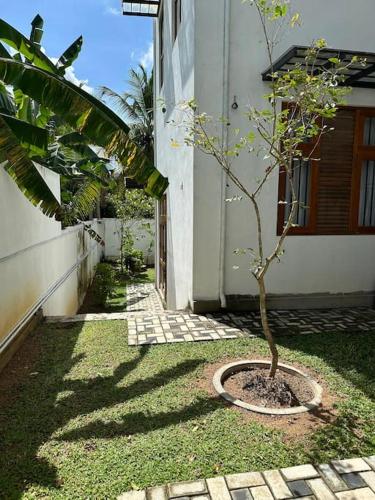a small tree in a pot in front of a building at Beauty World Villa - Gampaha in Gampaha