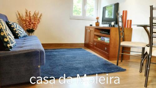 uma sala de estar com um sofá e um tapete azul em 2 bedrooms house with lake view enclosed garden and wifi at Rendufe em Rendufe