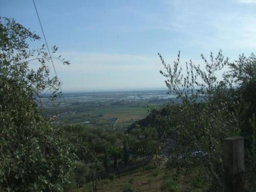 een uitzicht vanaf de top van een heuvel met bomen bij Gemütliches Landhaus in ruhiger Lage mit herrlicher Pergola und Blick bis zur Küste in Montigiano
