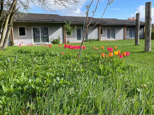 a yard with pink and orange tulips in front of a house at KragenæsHus in Torrig