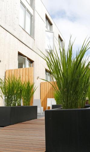 um pátio com dois vasos de plantas e um edifício em Stuifdijk em Oost-Vlieland
