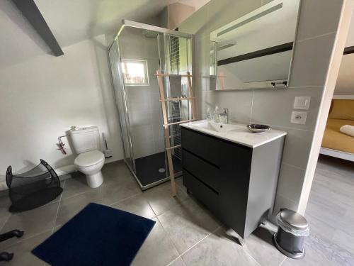 a bathroom with a sink and a shower and a toilet at Le Domaine du Fayé 