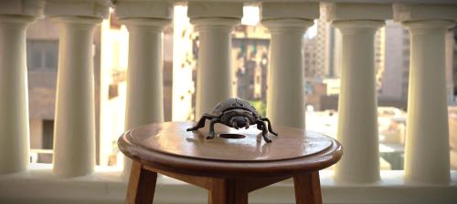 a spider sitting on top of a table on a balcony at Champollion Palace in Cairo
