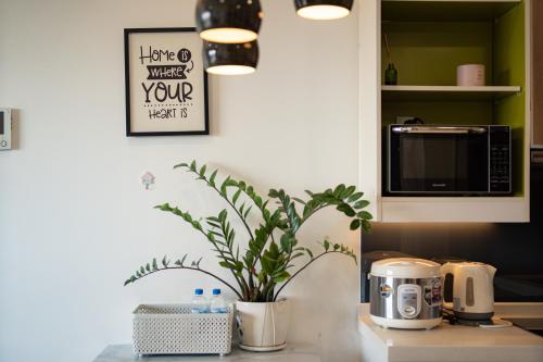 a kitchen counter with a potted plant on it at APARTMENT AIRPORT TAN SON NHAT - free Pool & Gym in Ho Chi Minh City