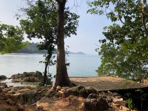 a wooden dock on the shore of a lake at The Big House in Koh Chang Ranong
