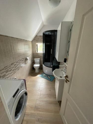 La salle de bains est pourvue d'un lavabo et d'un lave-linge. dans l'établissement Sara Apartament, à Lugoj