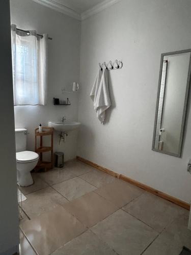 een badkamer met een toilet, een wastafel en een spiegel bij 50 on Alice in Koning Willemstad