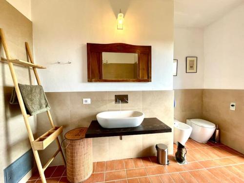 a bathroom with a sink and a toilet at Casa Vista Maremma Tuscany in Roccatederighi