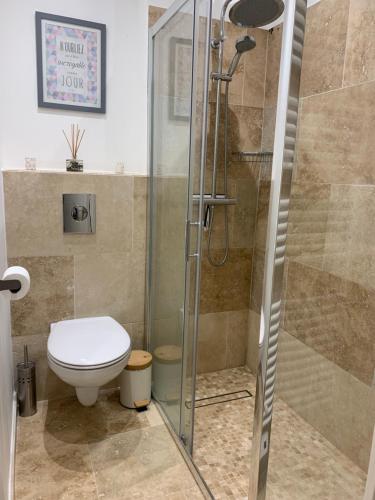 une salle de bain avec toilettes et douche en verre dans l'établissement Beau T2 avec jardin Fréjus plage, à Fréjus