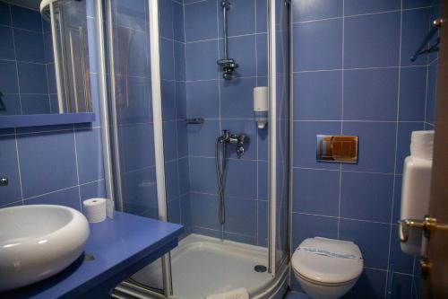 a bathroom with a shower and a toilet and a sink at Cvetni Konaci in Vrnjačka Banja