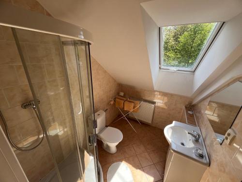 a bathroom with a shower and a toilet and a sink at Penzion V Podzámčí in Moravská Třebová