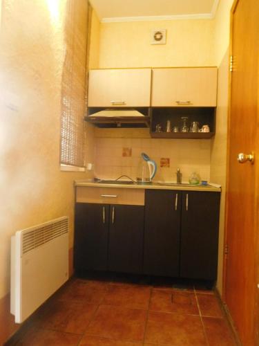 a small kitchen with black cabinets and a sink at ApartHotel Dom in Odesa