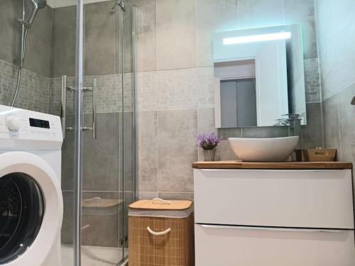 une salle de bain avec un lavabo et une machine à laver dans l'établissement Beau 3 pièces de 65m2 climatisé, à Nice
