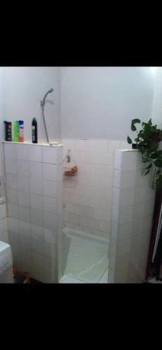 a white tiled bathroom with a shower with a plant at chambre standard elbiar in El Biar