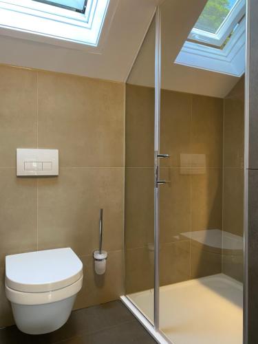 a bathroom with a toilet and a shower with a skylight at S-VILLA Apartments im Schwarzwald in Schiltach