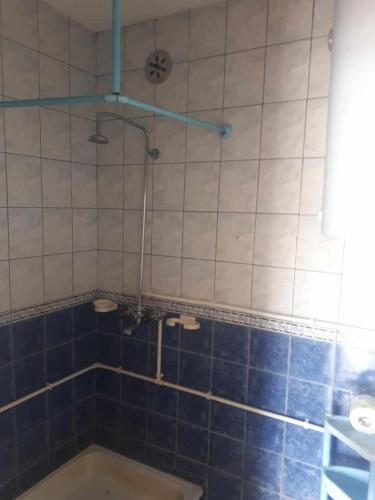 bagno con doccia e piastrelle blu di HOLIDAY HOME - NEGREVO a Pehčevo