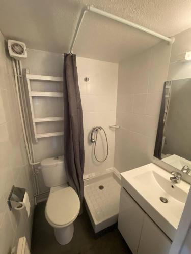 une salle de bain avec toilettes, douche et lavabo dans l'établissement Pavillon studio à 5min de la plage, à Saint Pierre La Mer