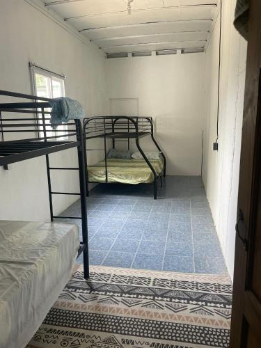 a small room with two bunk beds and a rug at Jungle Container Escape in Golfito