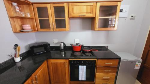 Dapur atau dapur kecil di ENTIRE LUXURY APARTMENTS