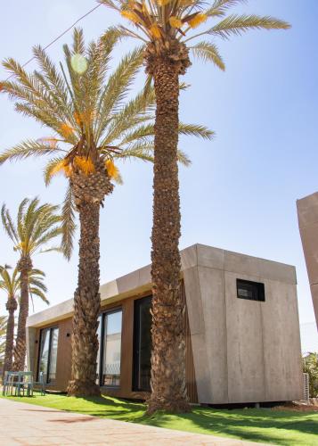 two palm trees in front of a building at Bungalows Mar Menor, paz a orillas del mar in San Javier