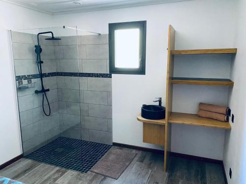 a bathroom with a shower with a window and a shelf at LA VILLA ELISA in Cilaos