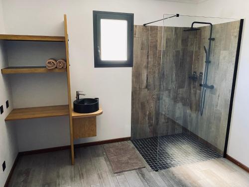 a bathroom with a shower with a sink and a mirror at LA VILLA ELISA in Cilaos