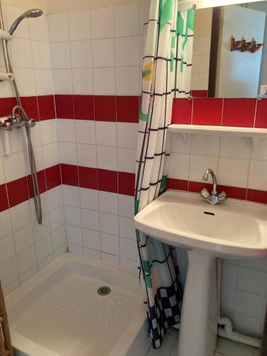 une salle de bain avec un lavabo, une baignoire et une douche dans l'établissement Appt T2 à 300m de la plage, à Saint Pierre La Mer