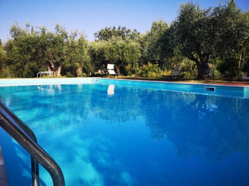 a swimming pool with blue water and trees at Poggio del Sole in Castiglione del Lago