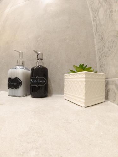 two soap dispensers sitting on a bathroom counter at Lorien City Center Apartments in Ioannina