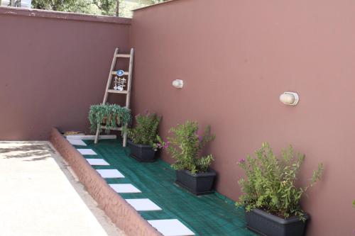 Κήπος έξω από το Villa Minore