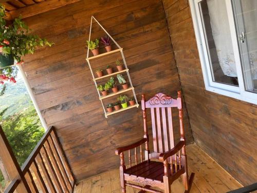 a staircase with a chair and a shelf with potted plants at Cabaña Aurora – COZY Cabin with an Amazing view! in San Pablo